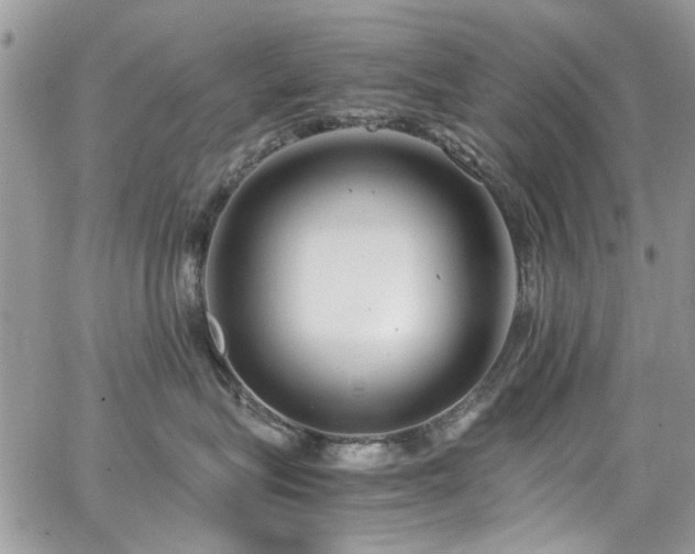 X0000065240575200602171427