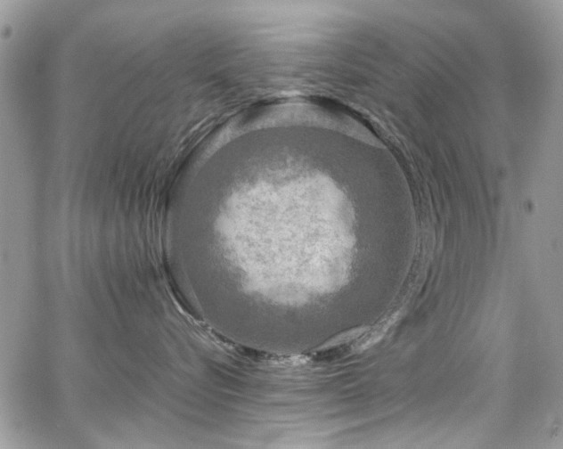 X0000065240576200602171427