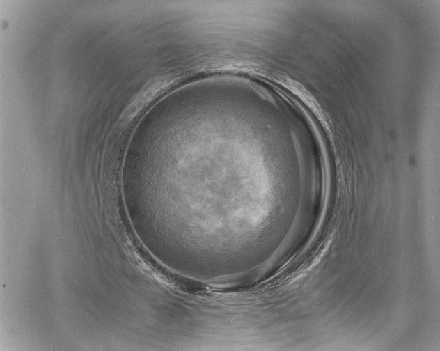 X0000065240577200602171426