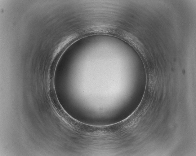 X0000065240578200602171426