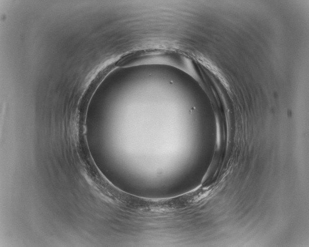 X0000065240580200602171426