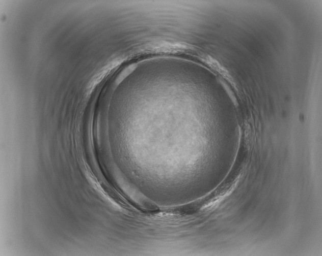 X0000065240581200602171426