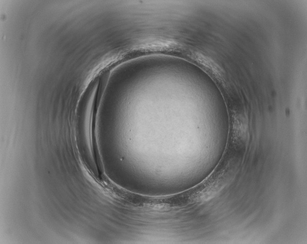 X0000065240582200602171426