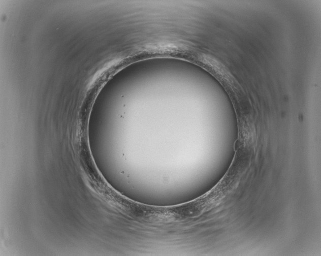 X0000065240583200602171426