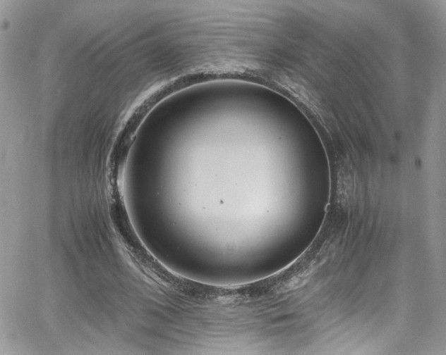 X0000065240584200602171426