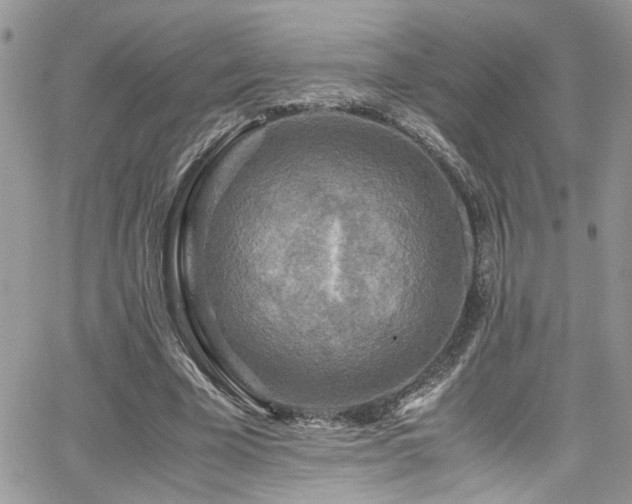 X0000065240585200602171426