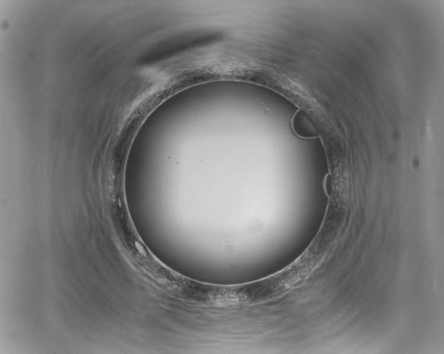 X0000065240587200602171426