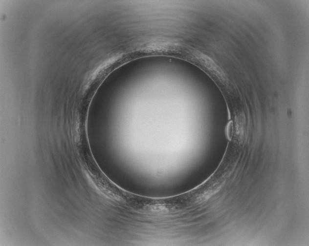 X0000065240588200602171426