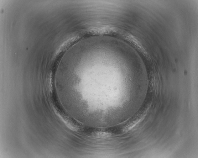 X0000065240590200602171426