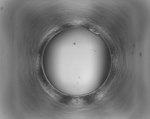 X0000065240591200602171426