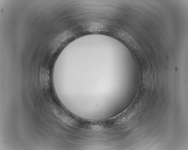 X0000065240592200602171426