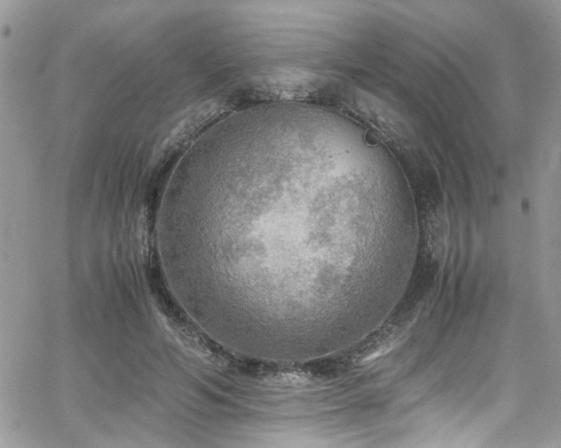 X0000065240594200602171426