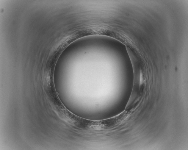 X0000065240595200602171426