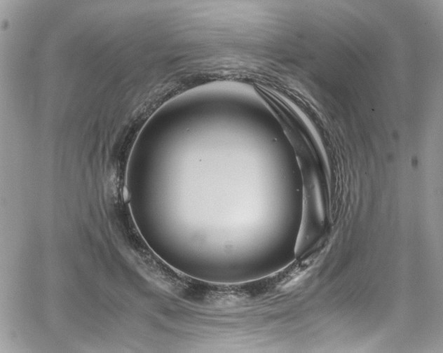 X0000065240597200602171426