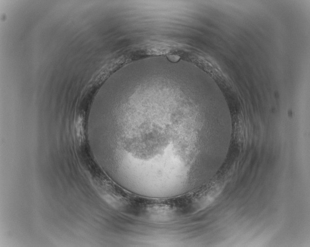 X0000065240598200602171426