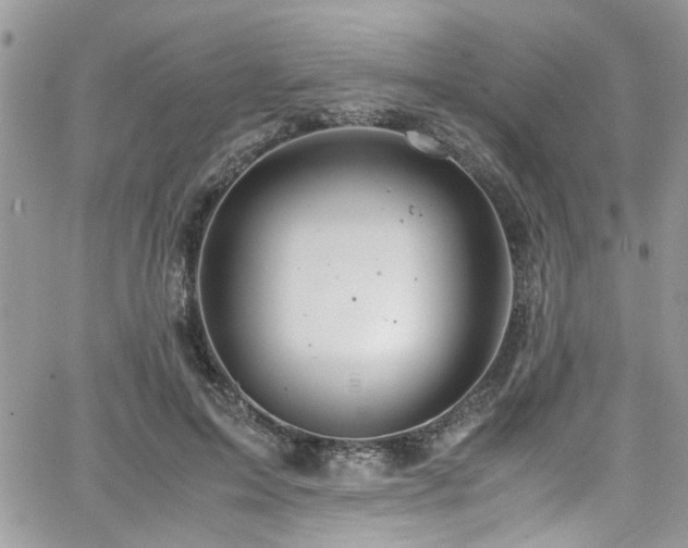 X0000065240599200602171426