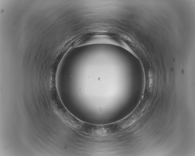 X0000065240600200602171426