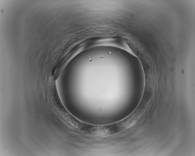 X0000065240601200602171426