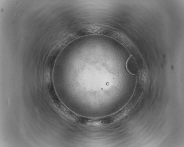 X0000065240602200602171426