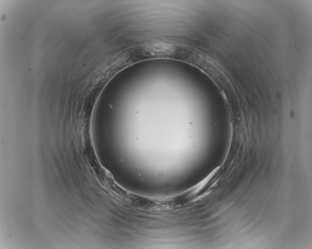 X0000065240604200602171426