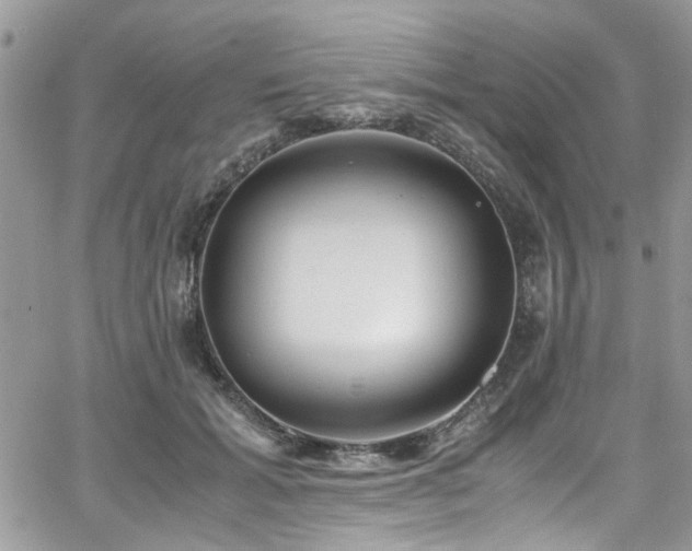 X0000065240605200602171426