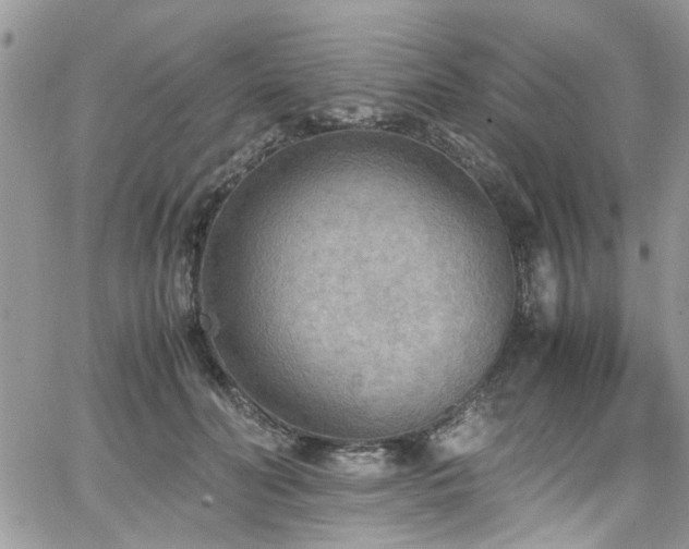 X0000065240606200602171426