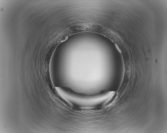 X0000065240607200602171426