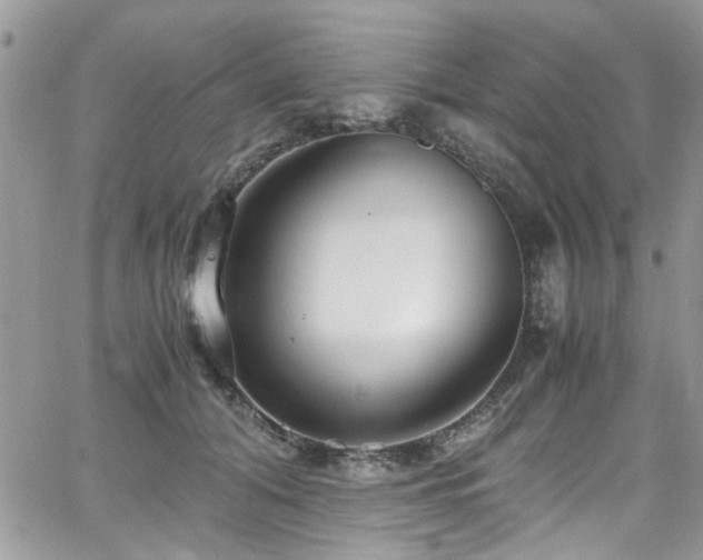 X0000065240608200602171426