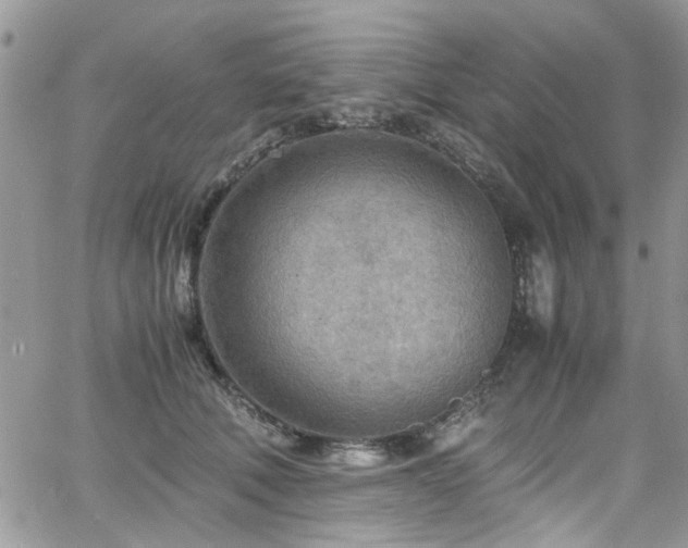 X0000065240610200602171426