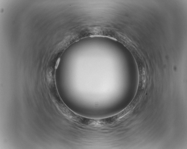 X0000065240611200602171426