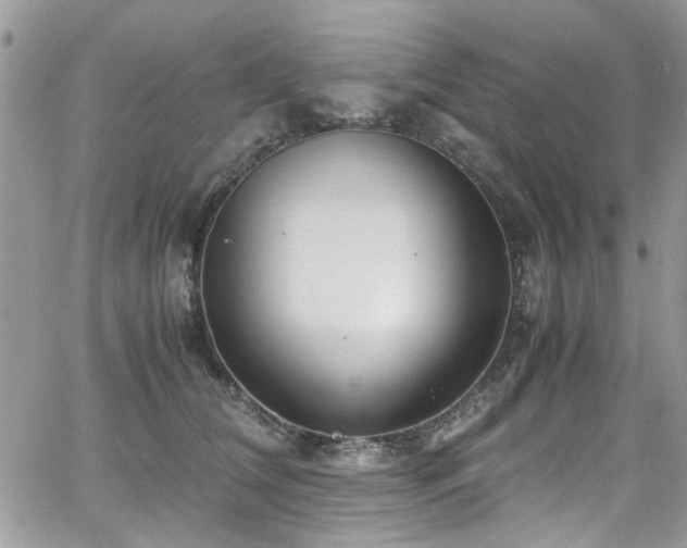 X0000065240612200602171426