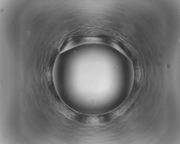 X0000065240613200602171426