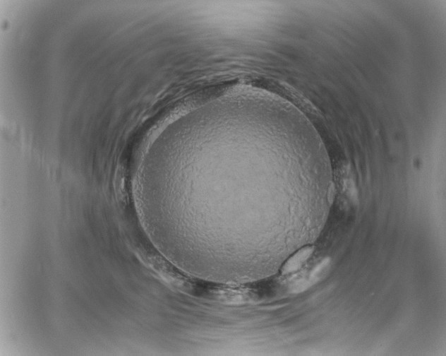 X0000065240615200602171426