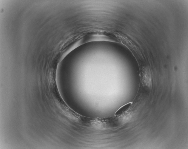 X0000065240616200602171426