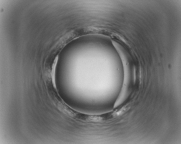 X0000065240617200602171426