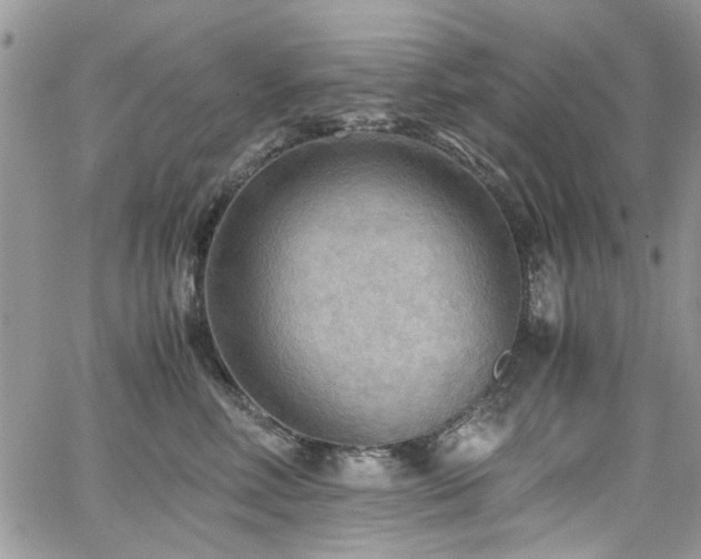 X0000065240618200602171426