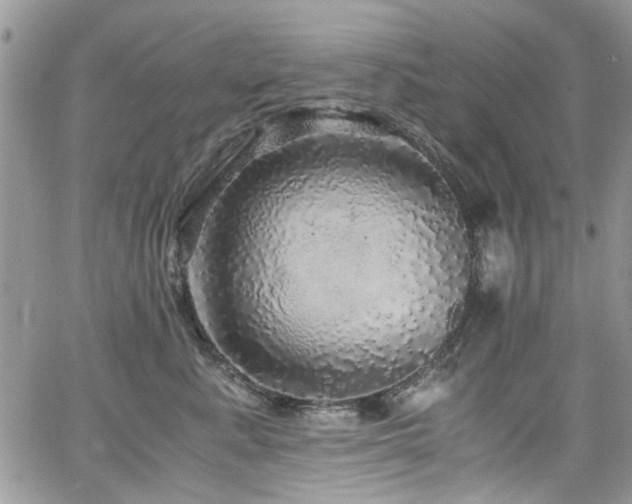 X0000065240619200602171426