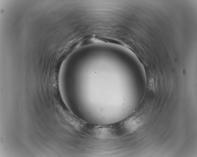 X0000065240620200602171426