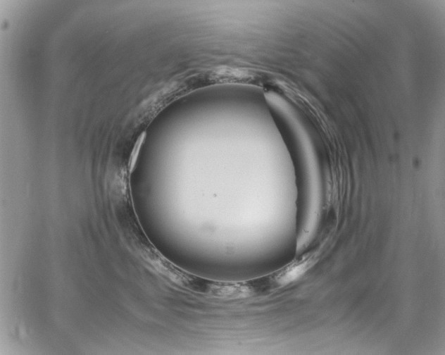 X0000065240621200602171425