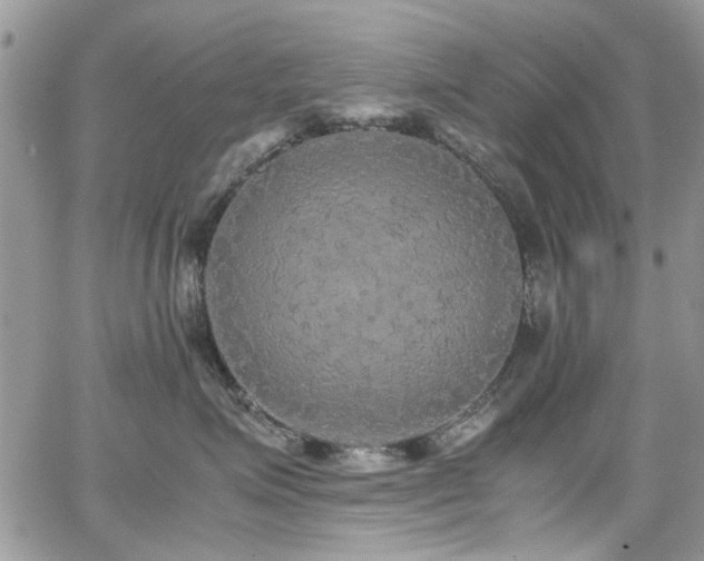 X0000065240623200602171425