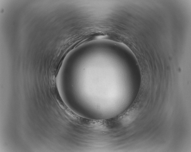 X0000065240624200602171425