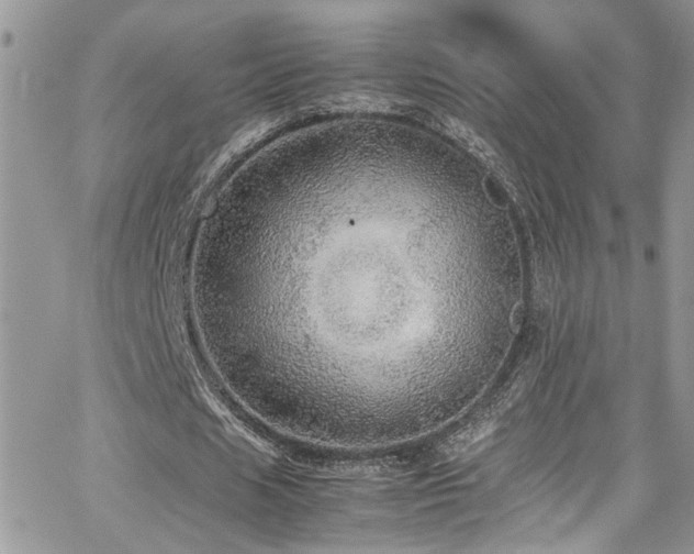 X0000065240625200602171425