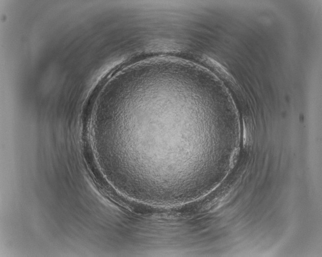 X0000065240627200602171425