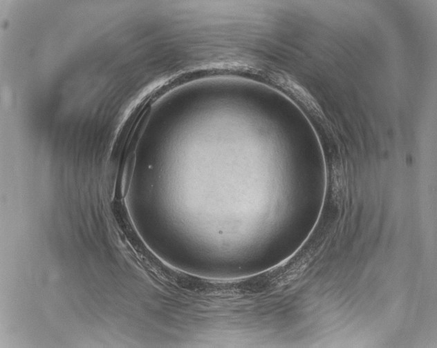 X0000065240628200602171425