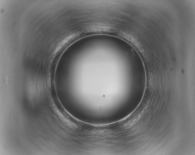 X0000065240629200602171425