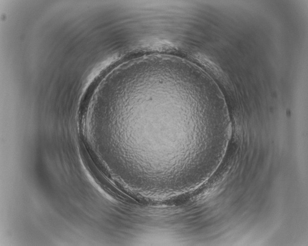 X0000065240630200602171425