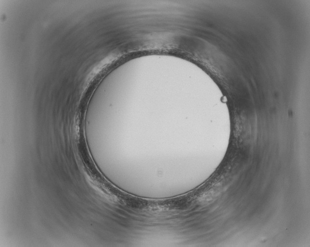 X0000065240632200602171425