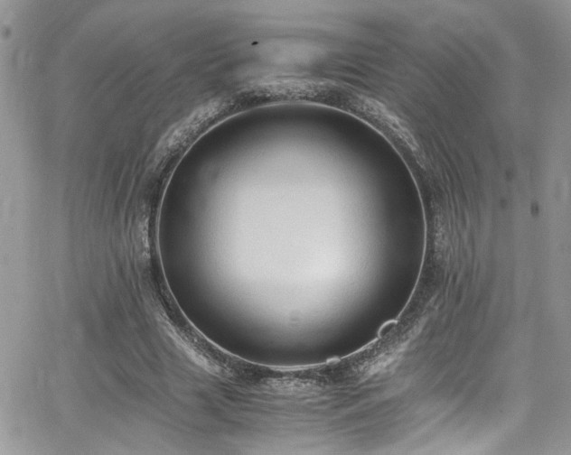 X0000065240633200602171425