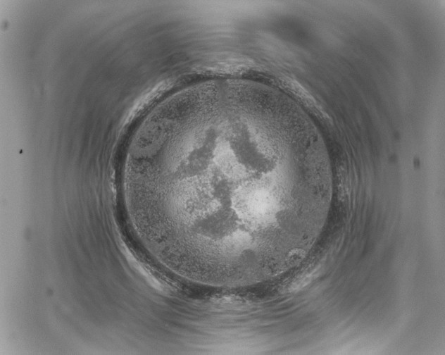 X0000065240634200602171425