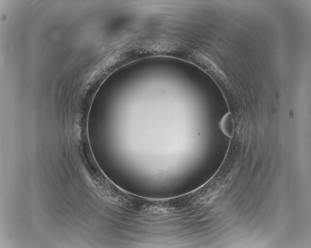 X0000065240635200602171425